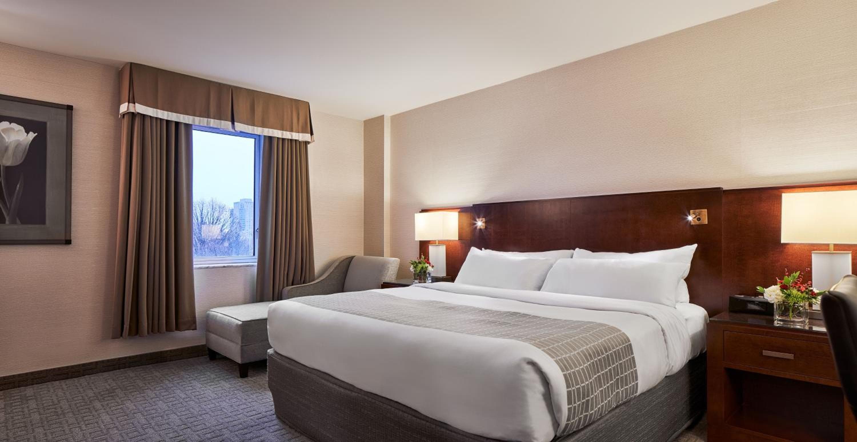 King Room with Park View