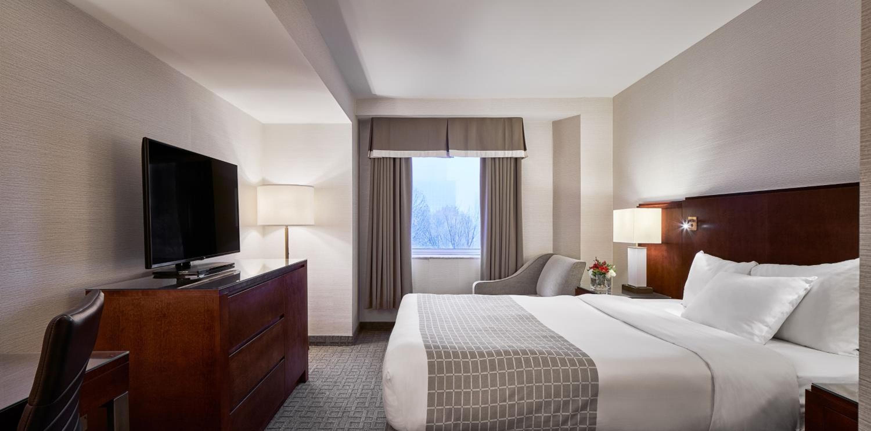 Queen Room with Park View