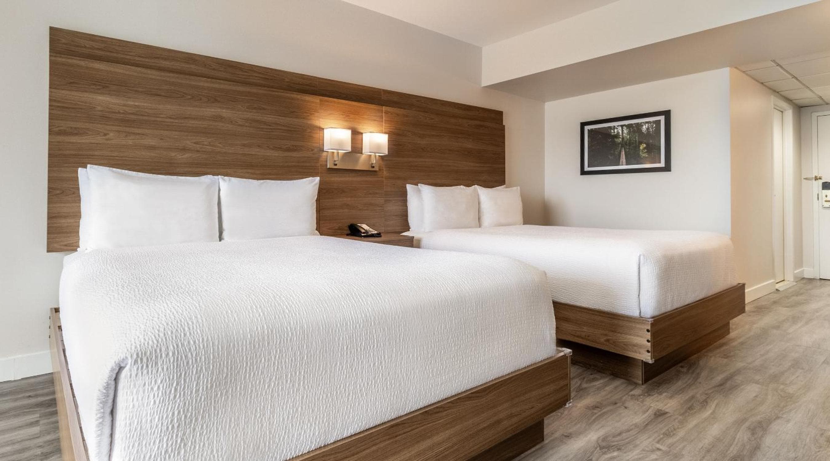 Two queen beds with sofa bed – Interior