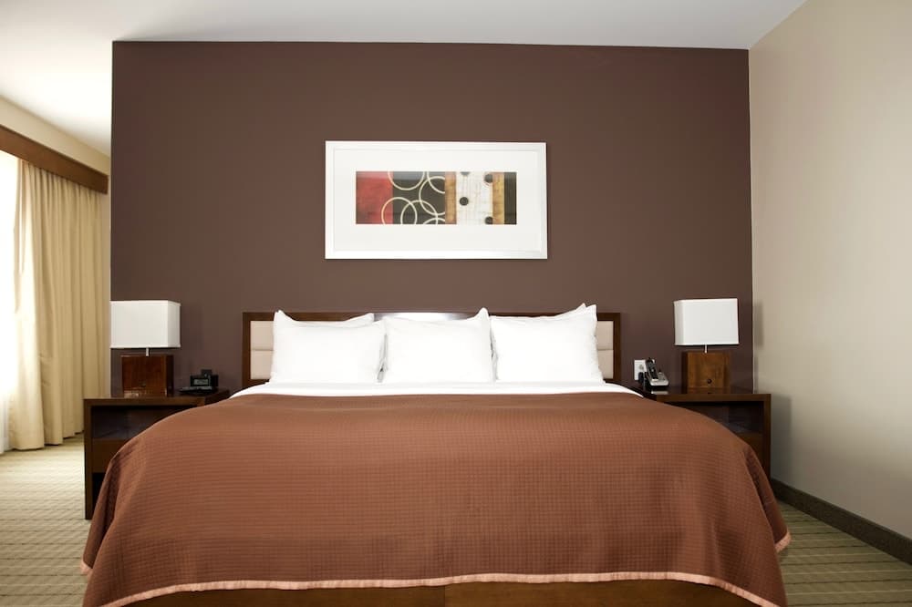 Studio Suite, 1 King Bed