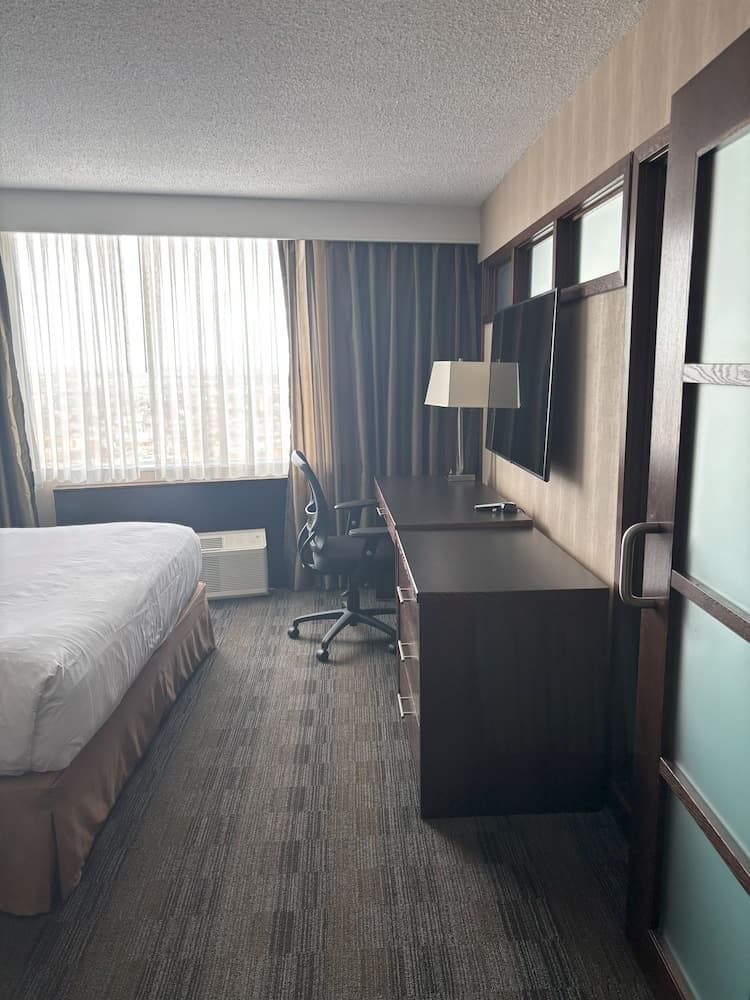 Studio Suite, 1 King Bed with Sofa bed, Non Smoking