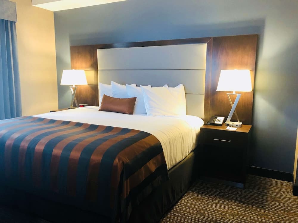 Room, 1 King Bed, Non Smoking, City View