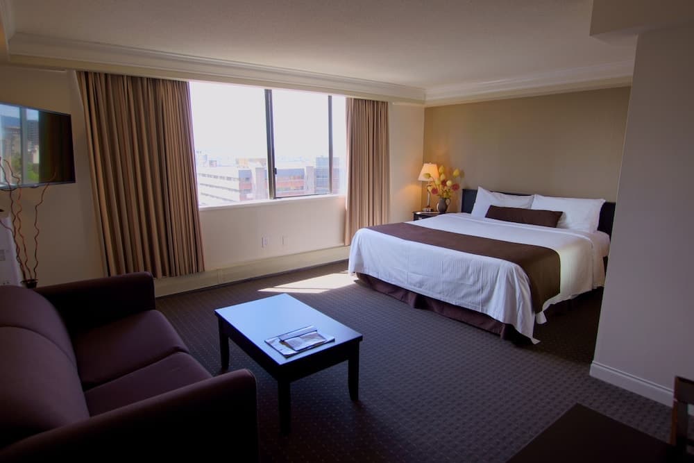 Standard Studio Suite, 1 King Bed