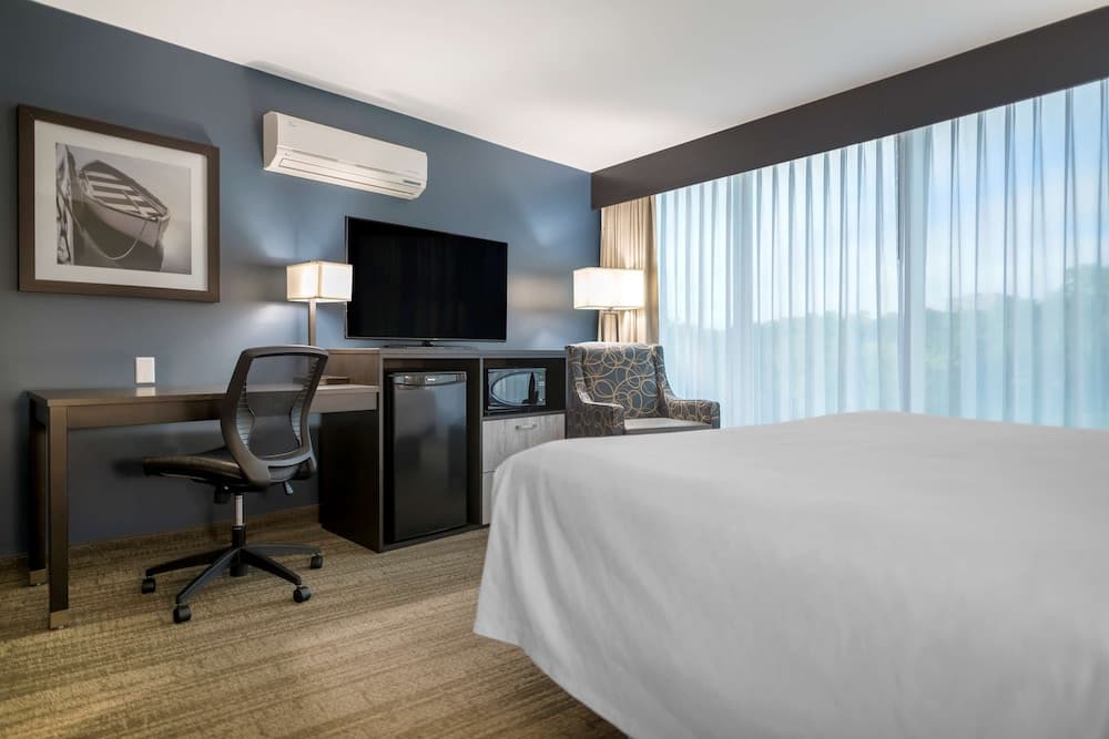 Standard Room, 1 King Bed, Refrigerator & Microwave, Lake View (Pet Friendly)