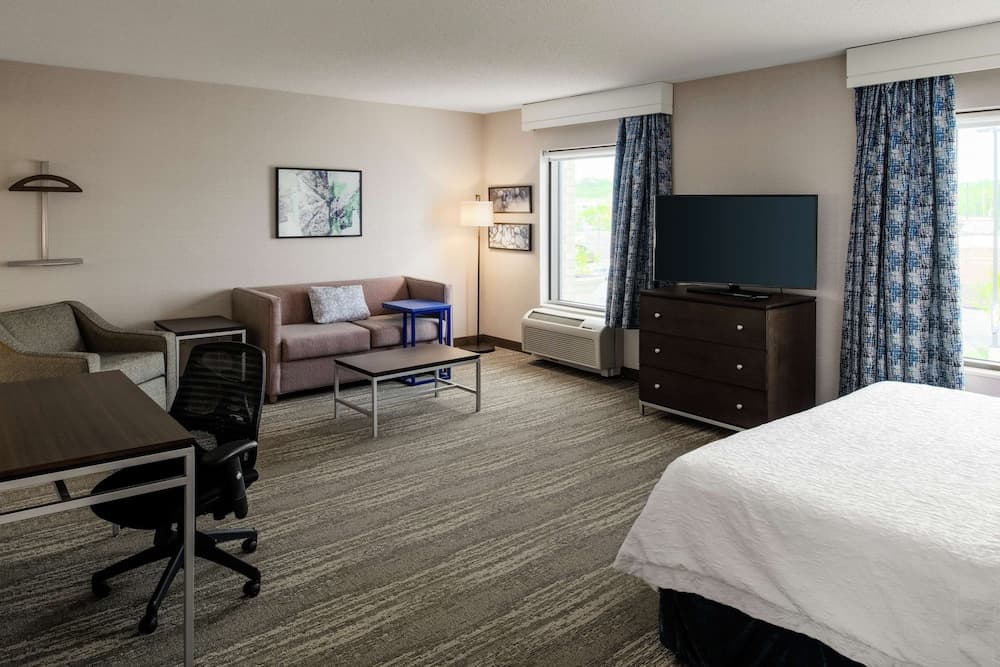 Suite, 1 King Bed, Accessible (Mobility, Roll-in Shower)