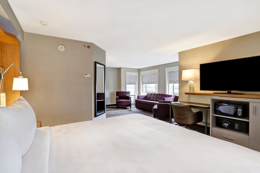 Suite, 1 King Bed