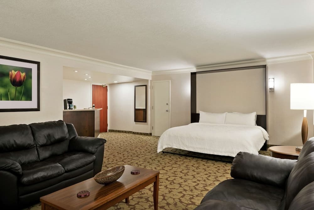 Deluxe Suite, 1 King Bed