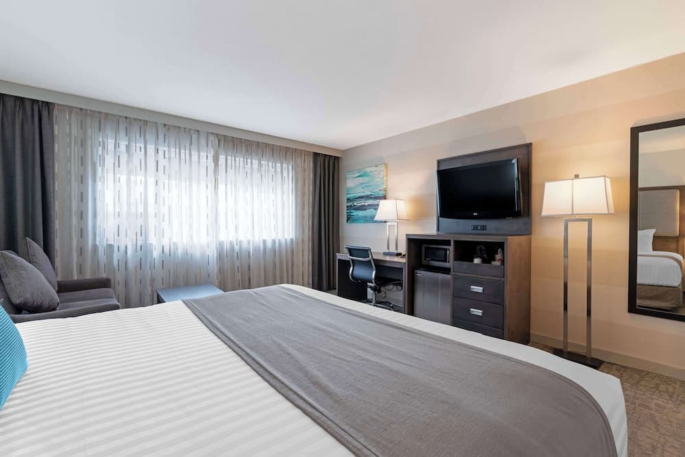 Standard Room, 1 King Bed, Non Smoking, City View