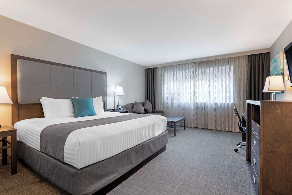 Standard Room, 1 King Bed, Non Smoking, City View (with Sofabed)